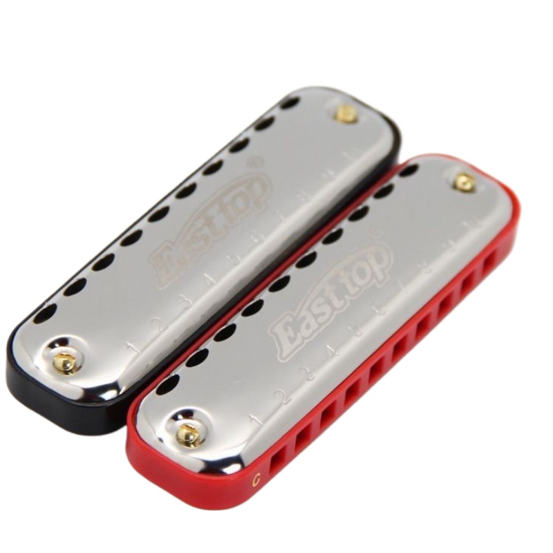 Harmonica 10 Hole - Instrumento de bolsillo para principiantes adultos