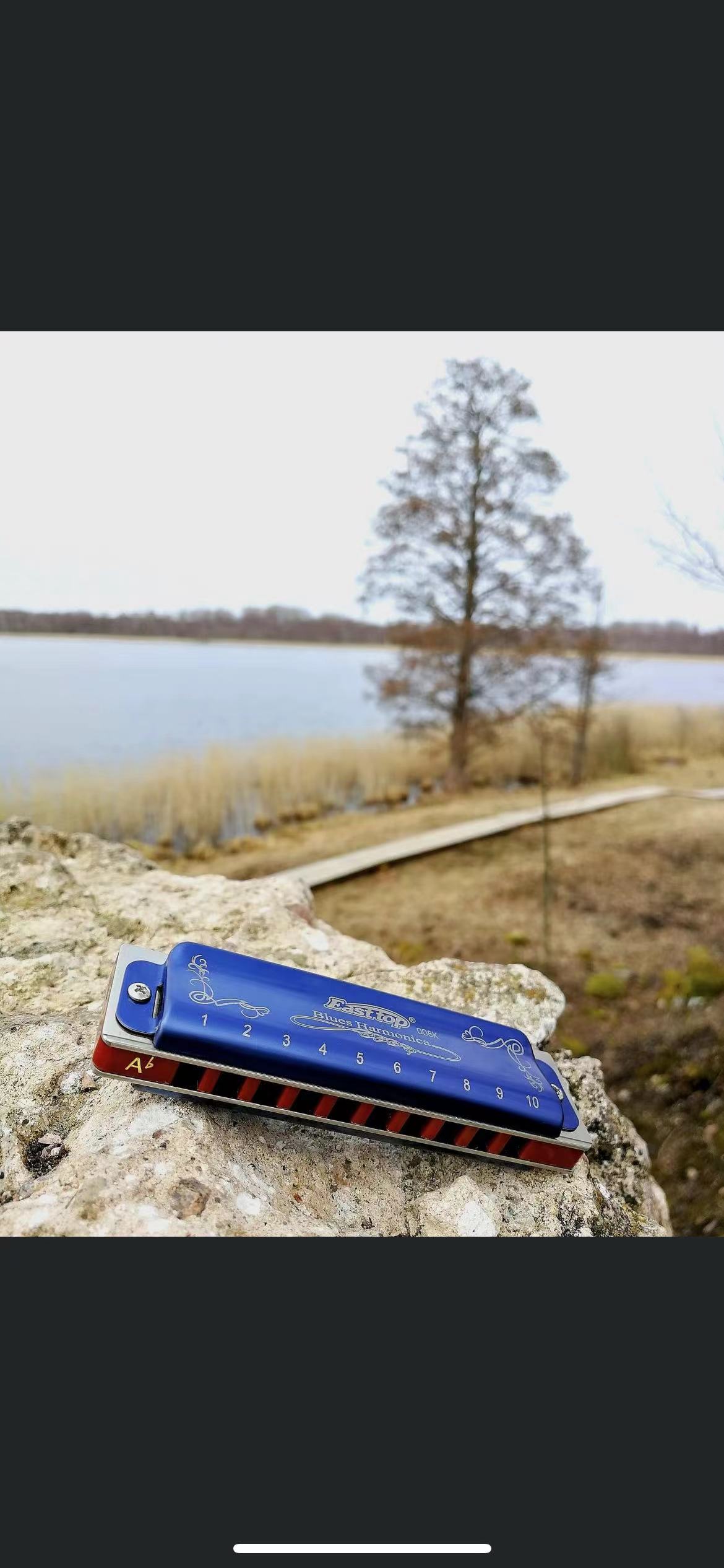 Armónica Diatónica EASTTOP T00 - Harmonica 10 Hole reseña y precio