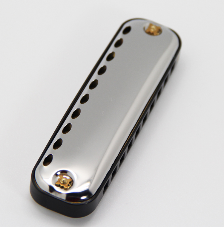 EASTTOP armónica de Blues, lla - Harmonica 10 Hole reseña y precio