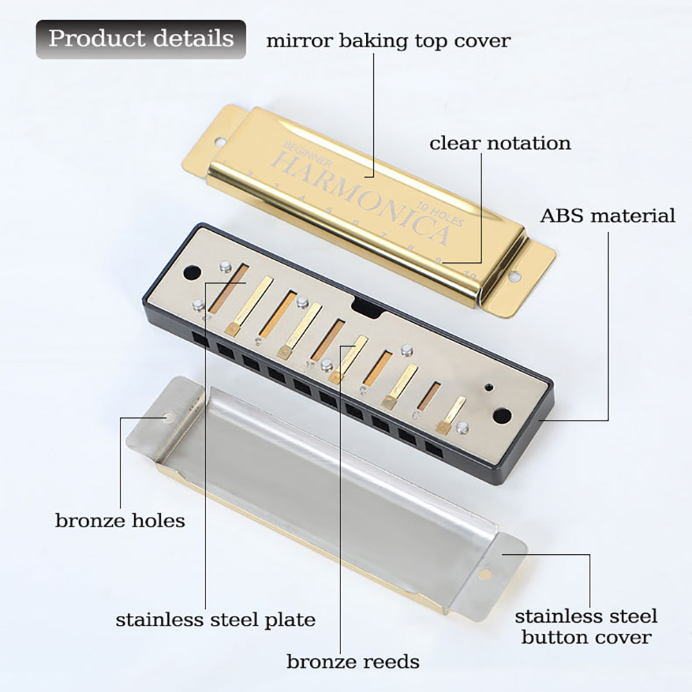Armónica de 10 agujeros C, arp - Harmonica 10 Hole reseña y precio