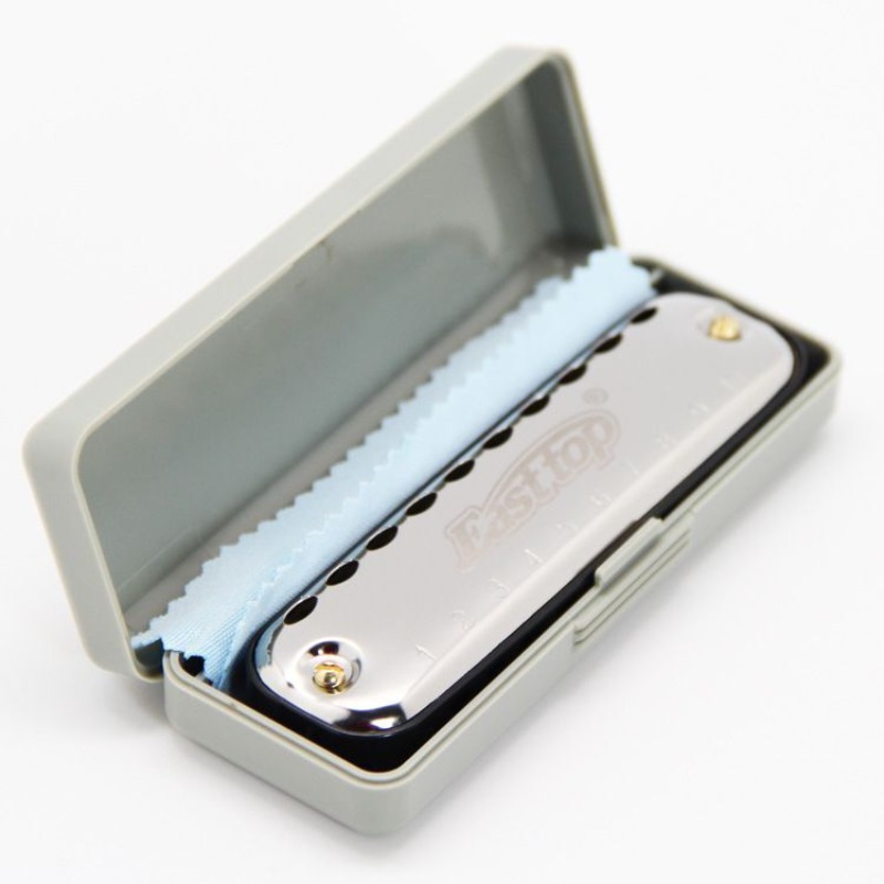 Instrumento de bolsillo para p - Harmonica 10 Hole reseña y precio