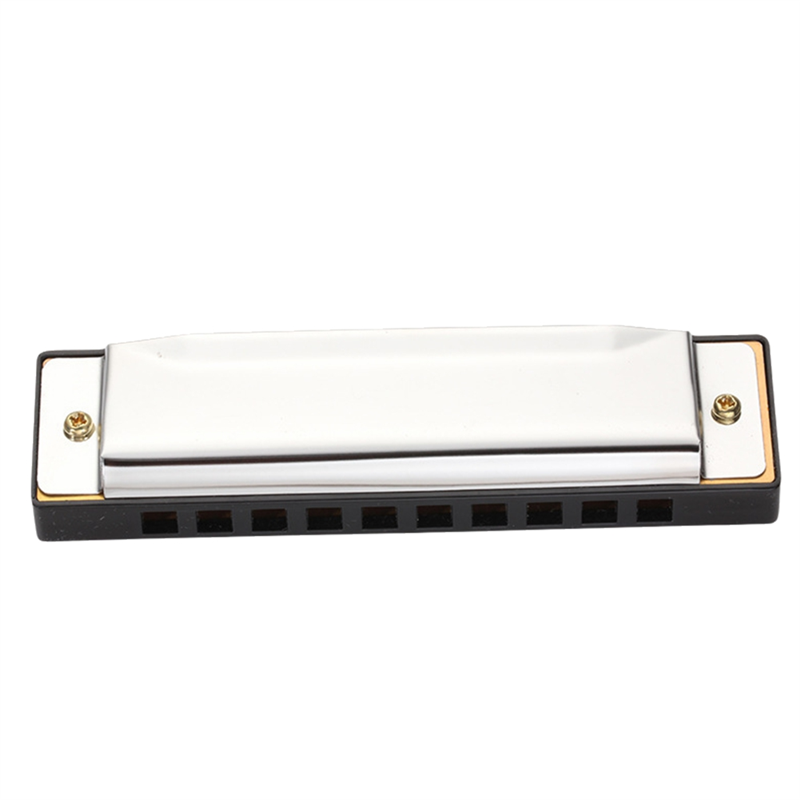 Lo-Ok-armónica de Blues de 10  - Harmonica 10 Hole reseña y precio