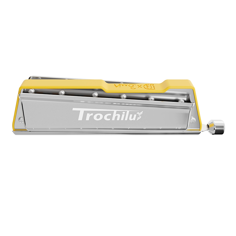 JDR Trochilus Armónica Blues A - Harmonica 10 Hole reseña y precio