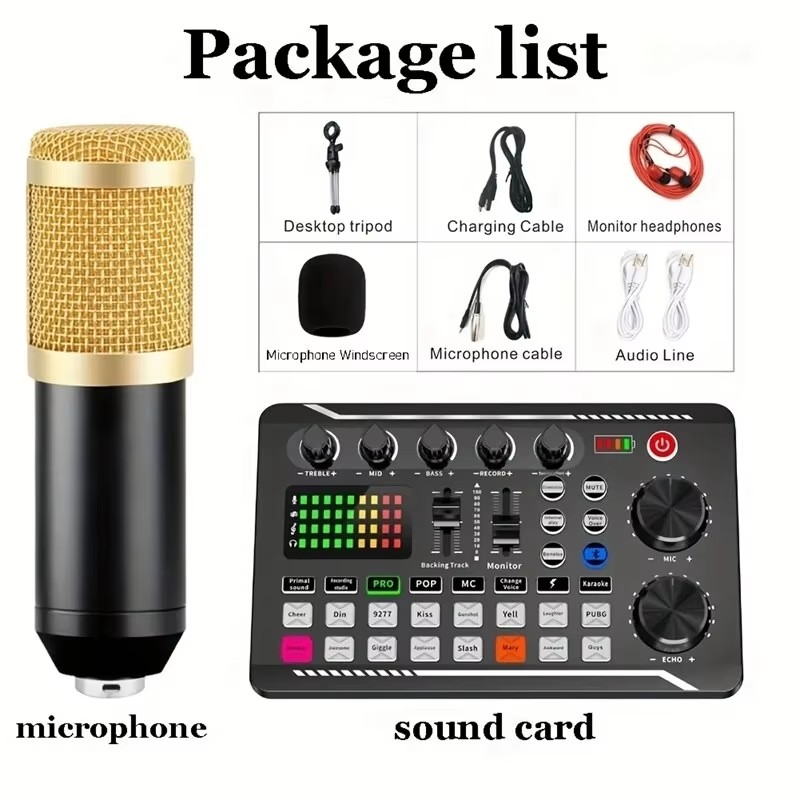 Micrófono de condensador profe - Audio Music Voice Changer reseña y precio