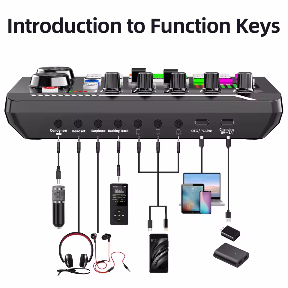 Micrófono de condensador profe - Audio Music Voice Changer reseña y precio